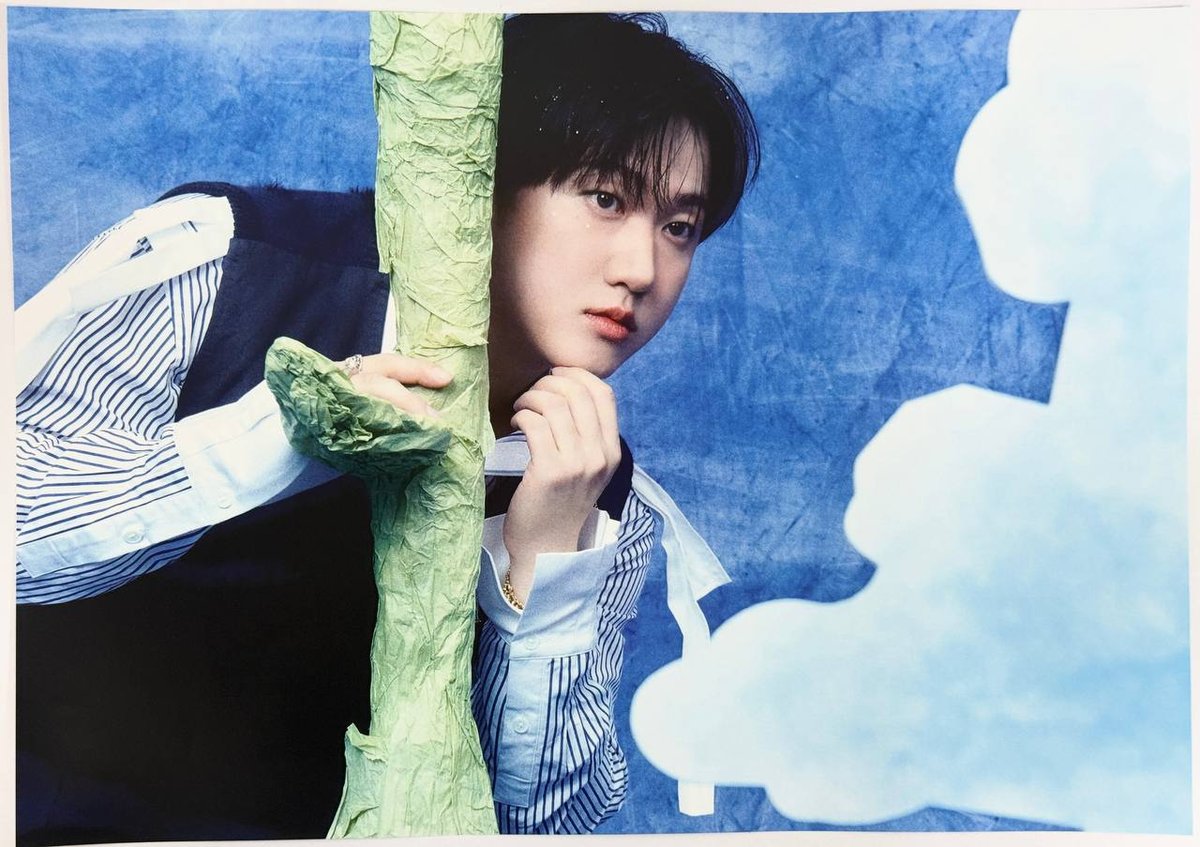 Постер Stray kids