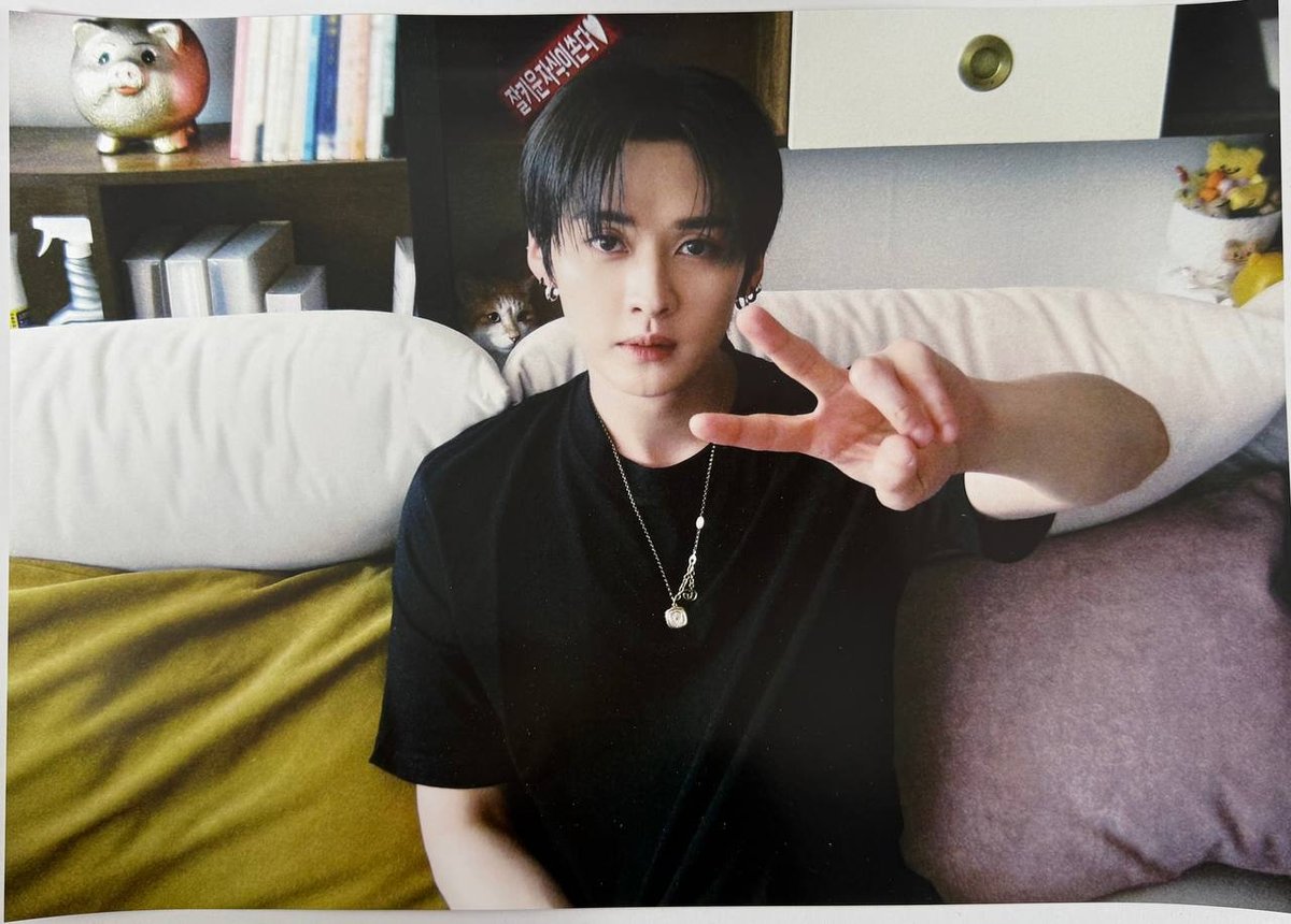 Постер Stray kids