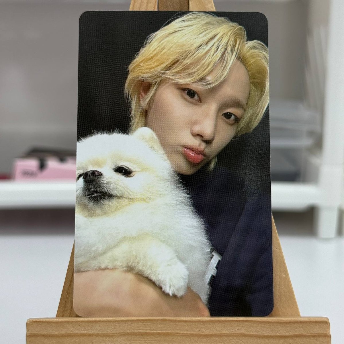 Офіційна картка BOYNEXTDOOR weverse shop