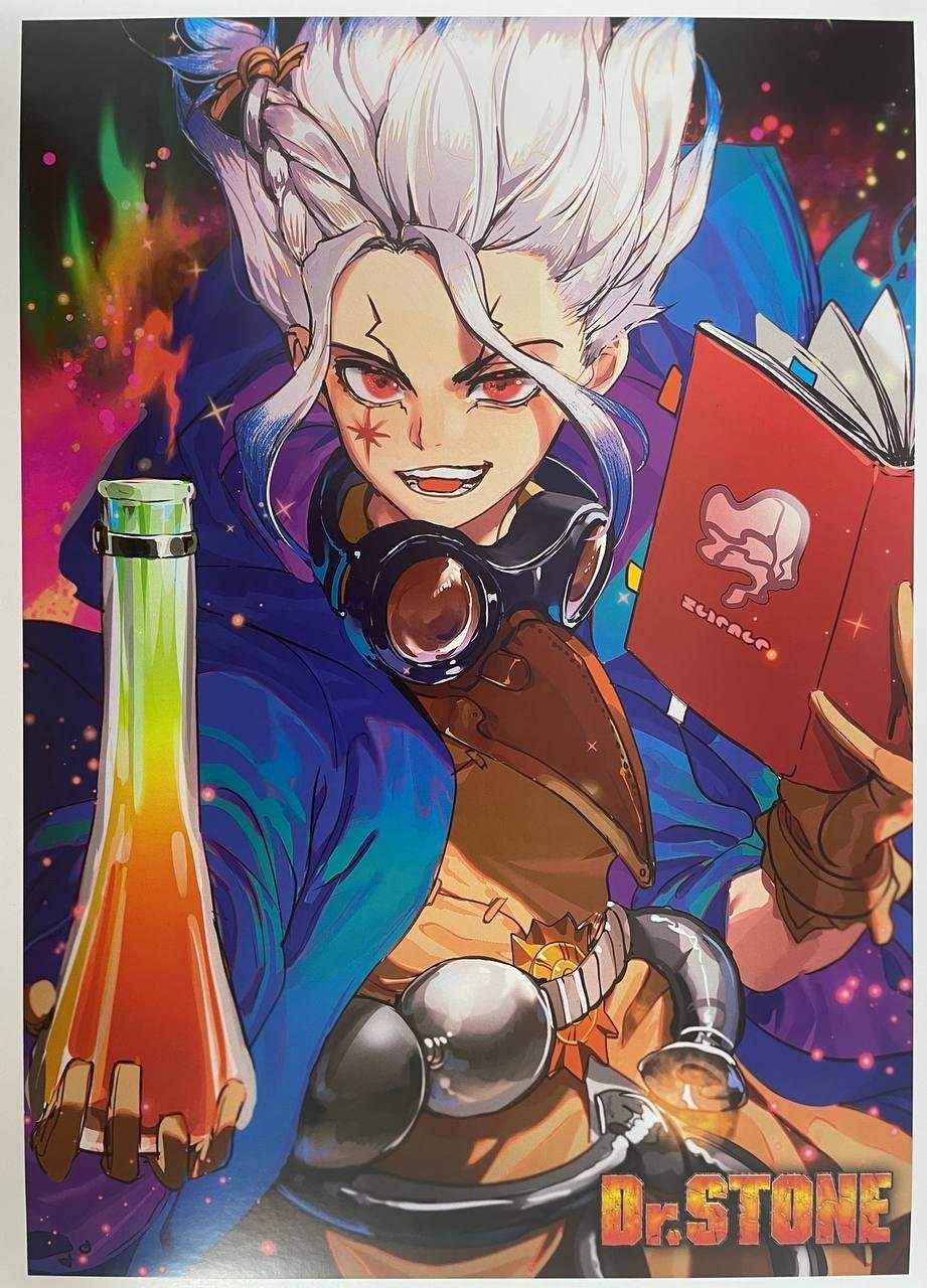 Постер А3 Доктор стоун / Dr. Stone