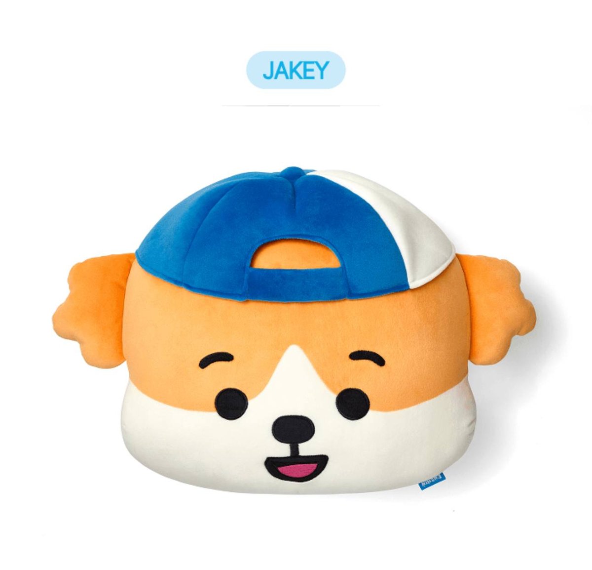 Enhypen Enchin Face Cushion