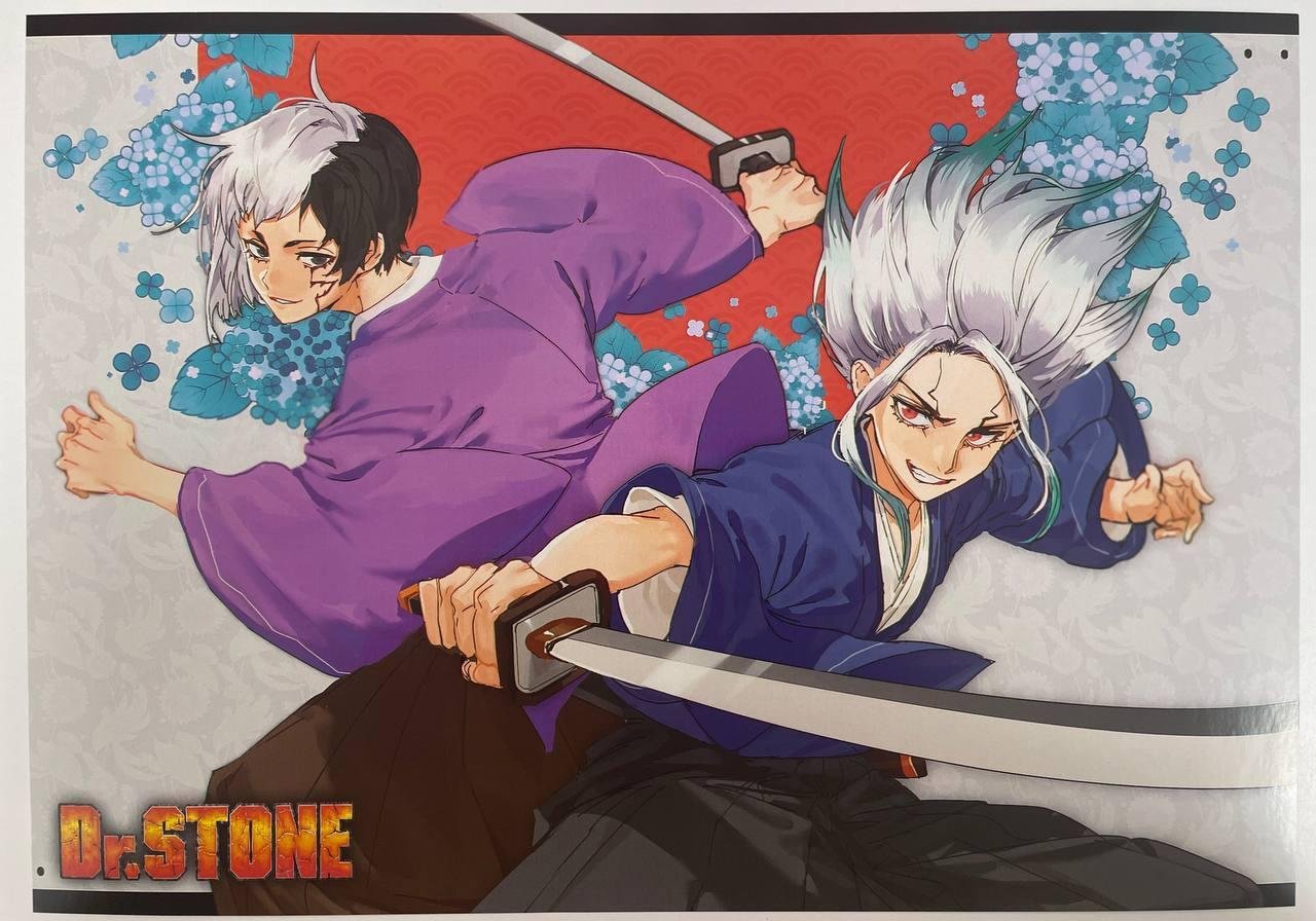 Постер А3 Доктор стоун / Dr. Stone