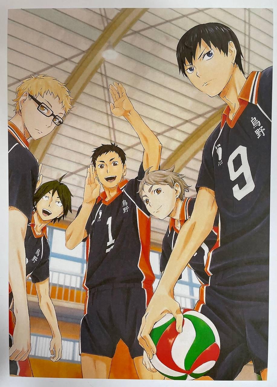 Постер А3 Волейбол / Haikyuu