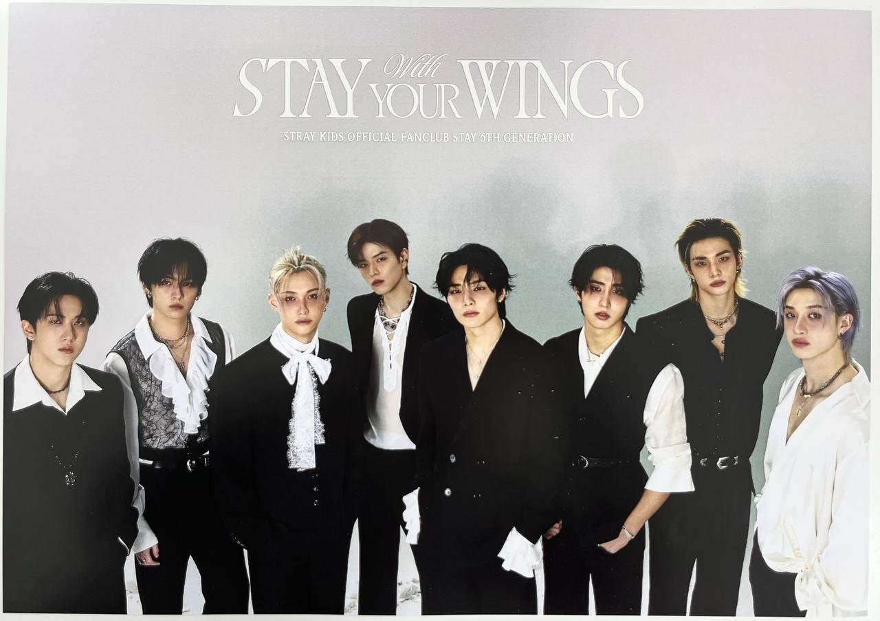 Постер Stray kids