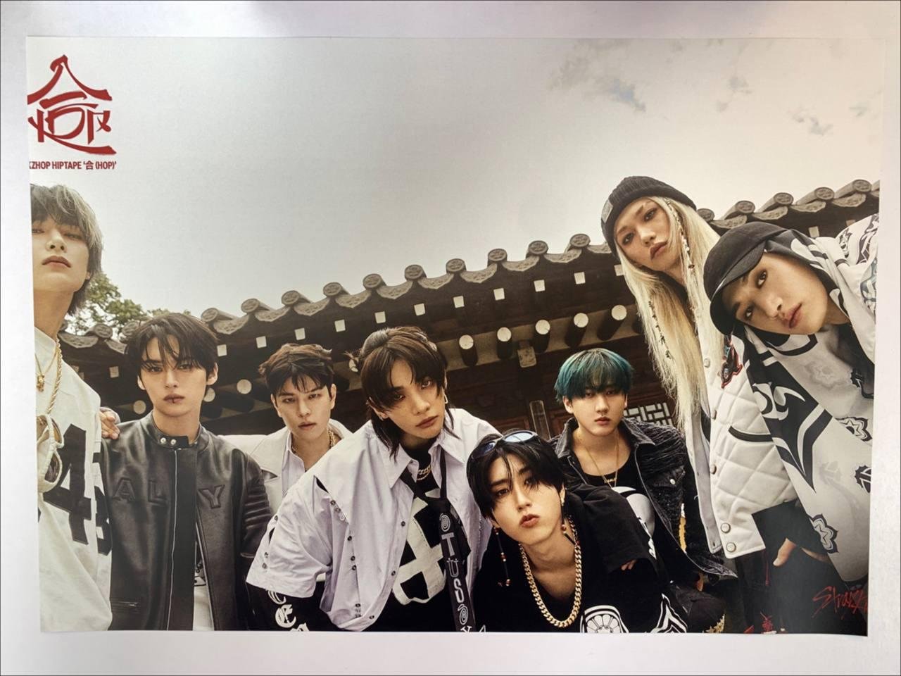 Постер Stray kids