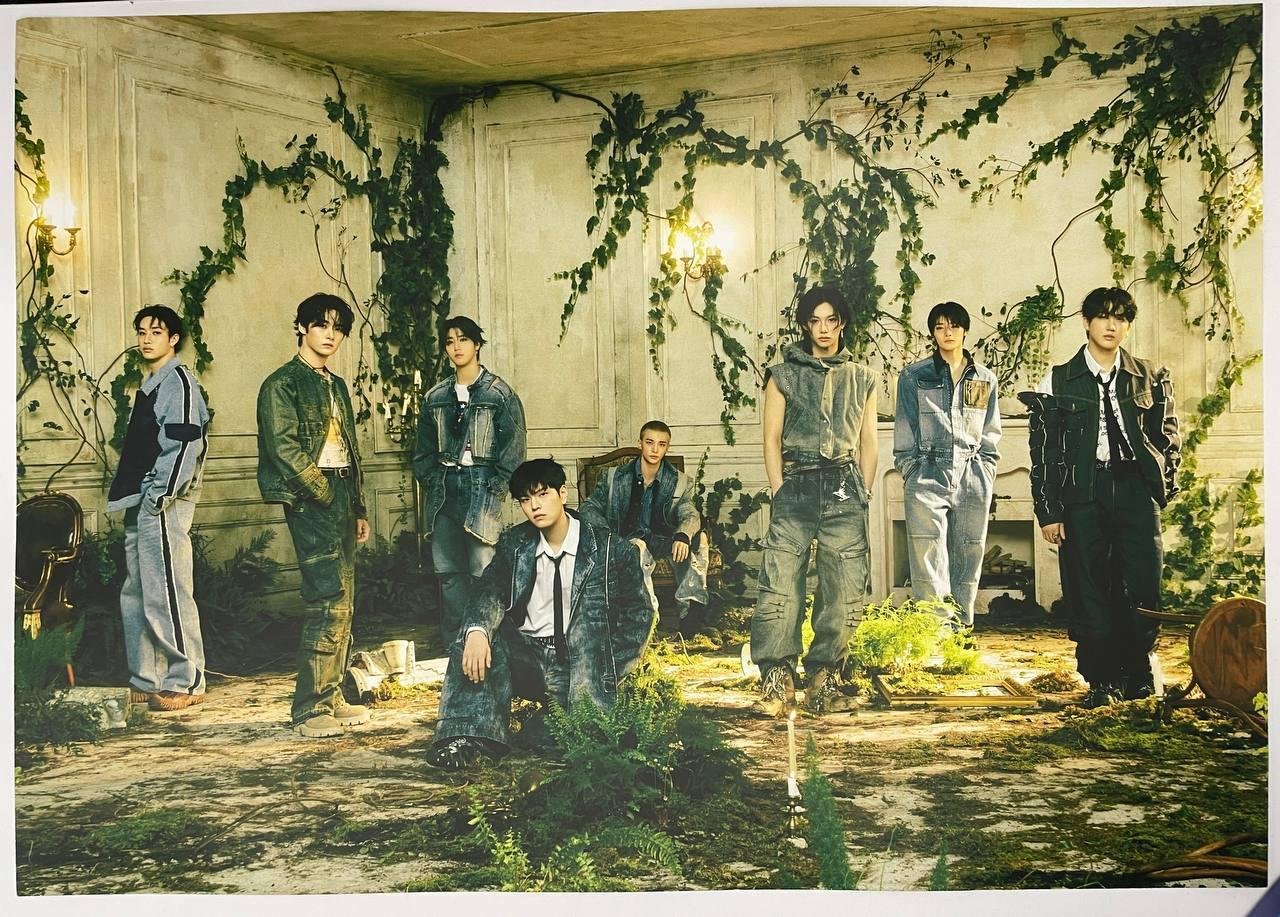 Постер Stray kids