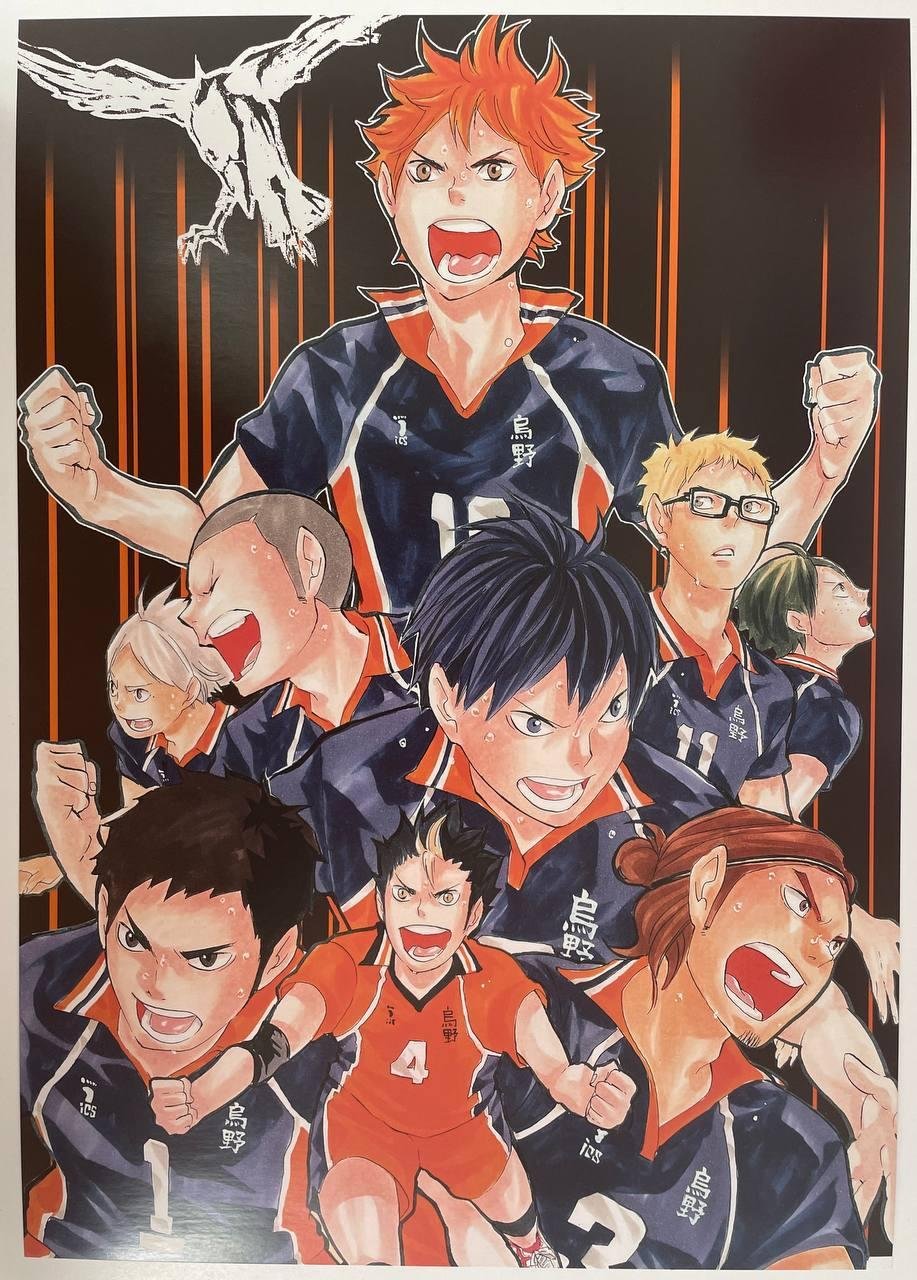 Постер А3 Волейбол / Haikyuu