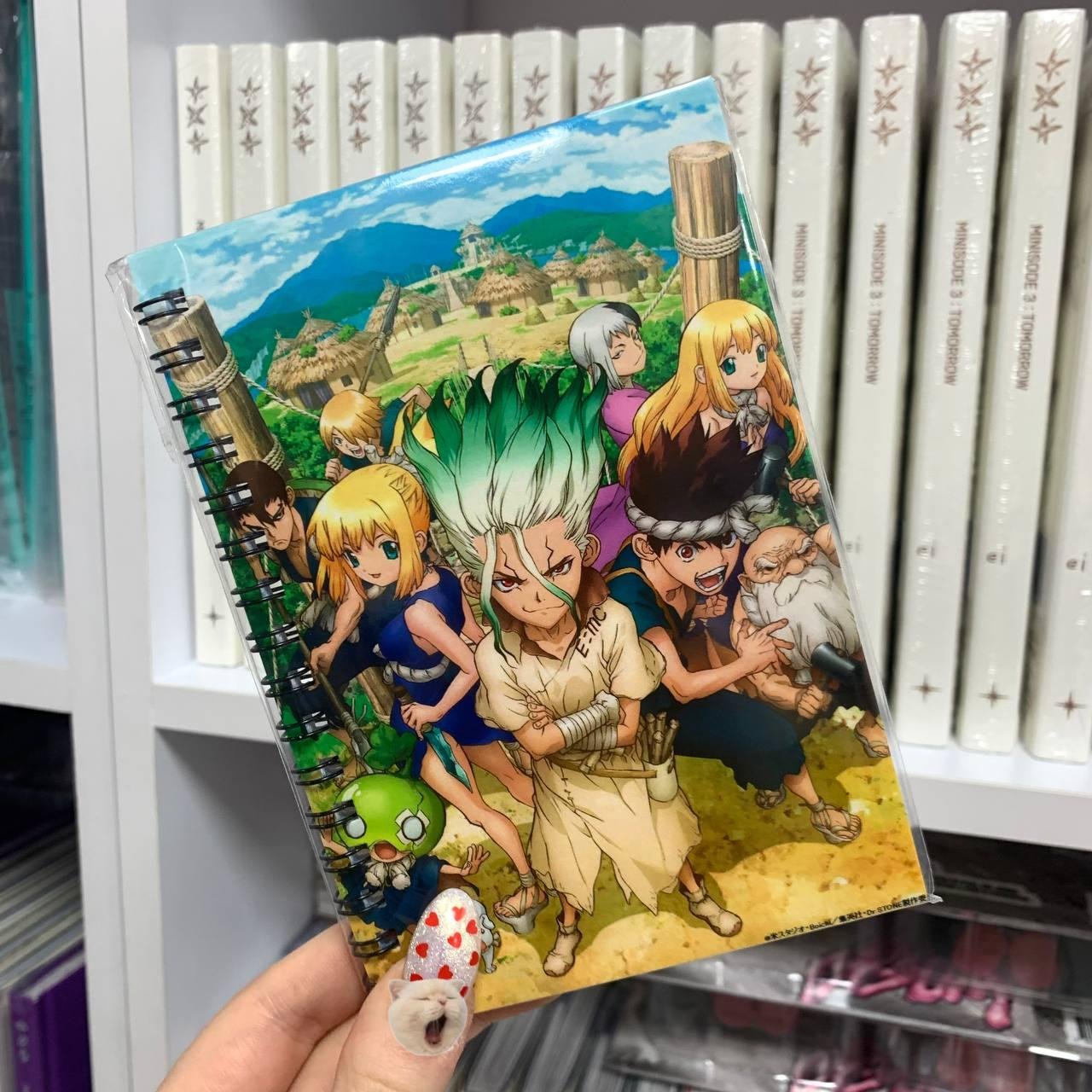 Блокнот Доктор стоун / Dr. Stone
