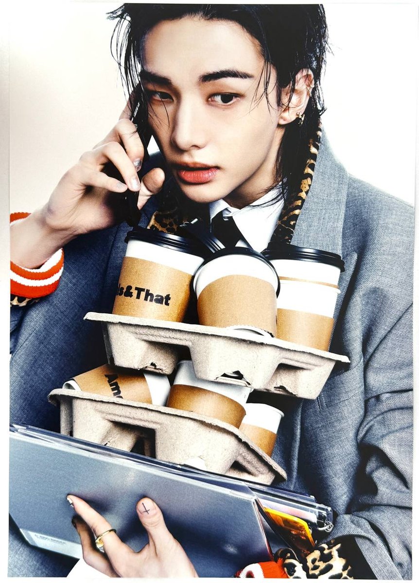 Постер Stray kids