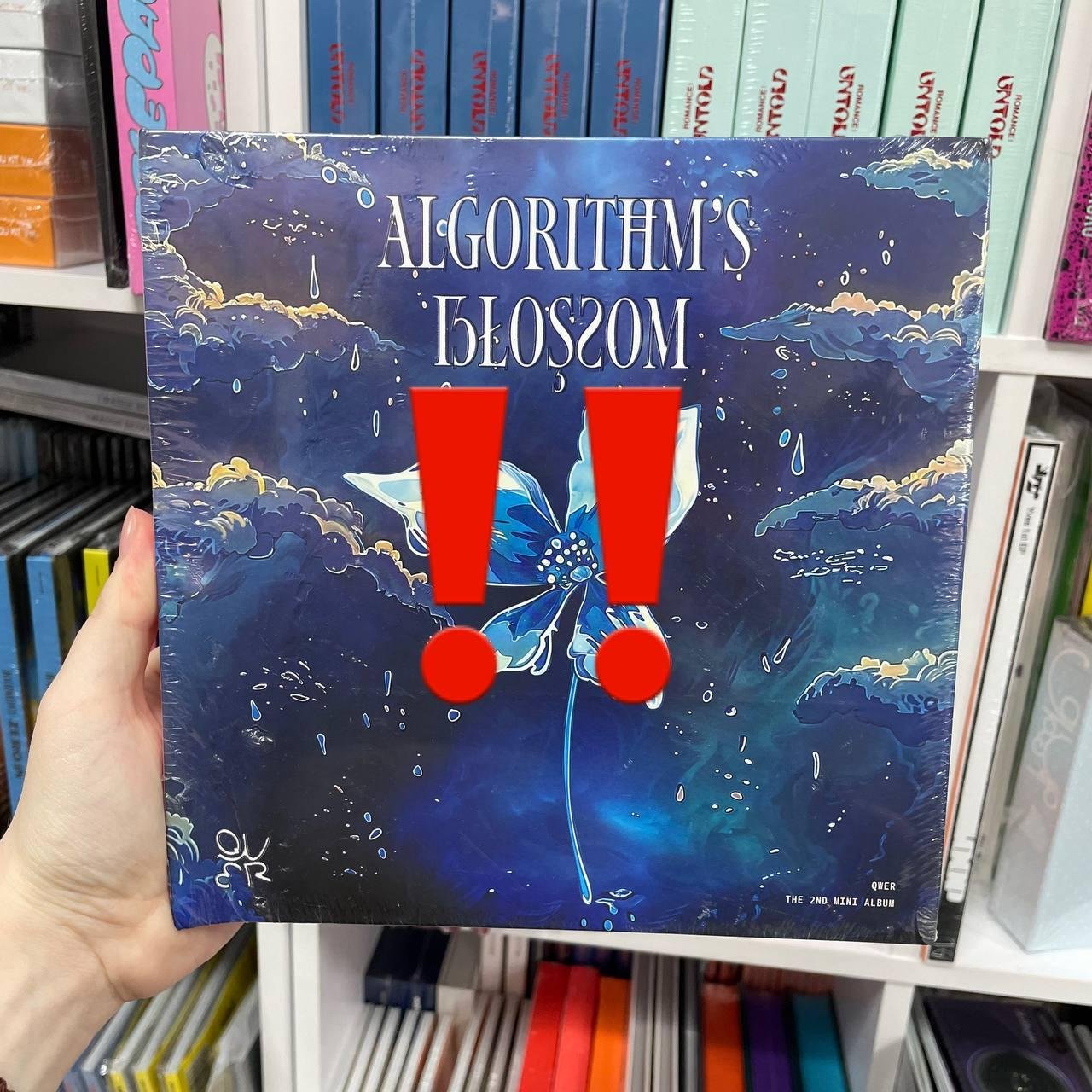 !!!УЦІНКА!!! QWER - ALGORITHM'S BLOSSOM (ALGORITHM VER.)