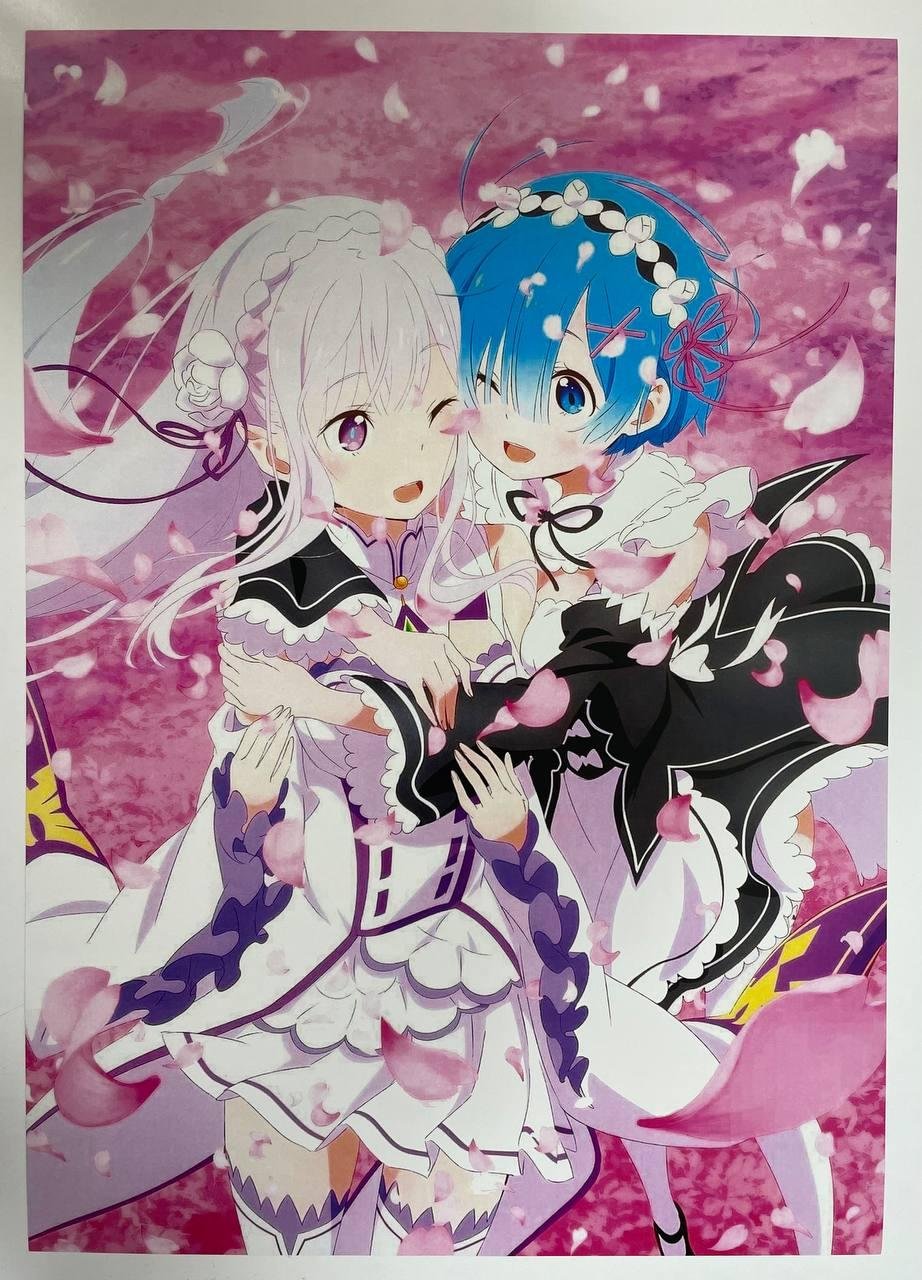 Постер А3 Re zero