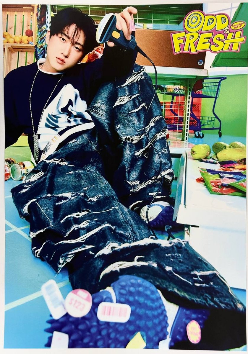 Постер Stray kids
