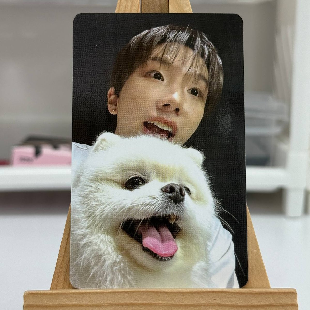 Офіційна картка BOYNEXTDOOR weverse shop