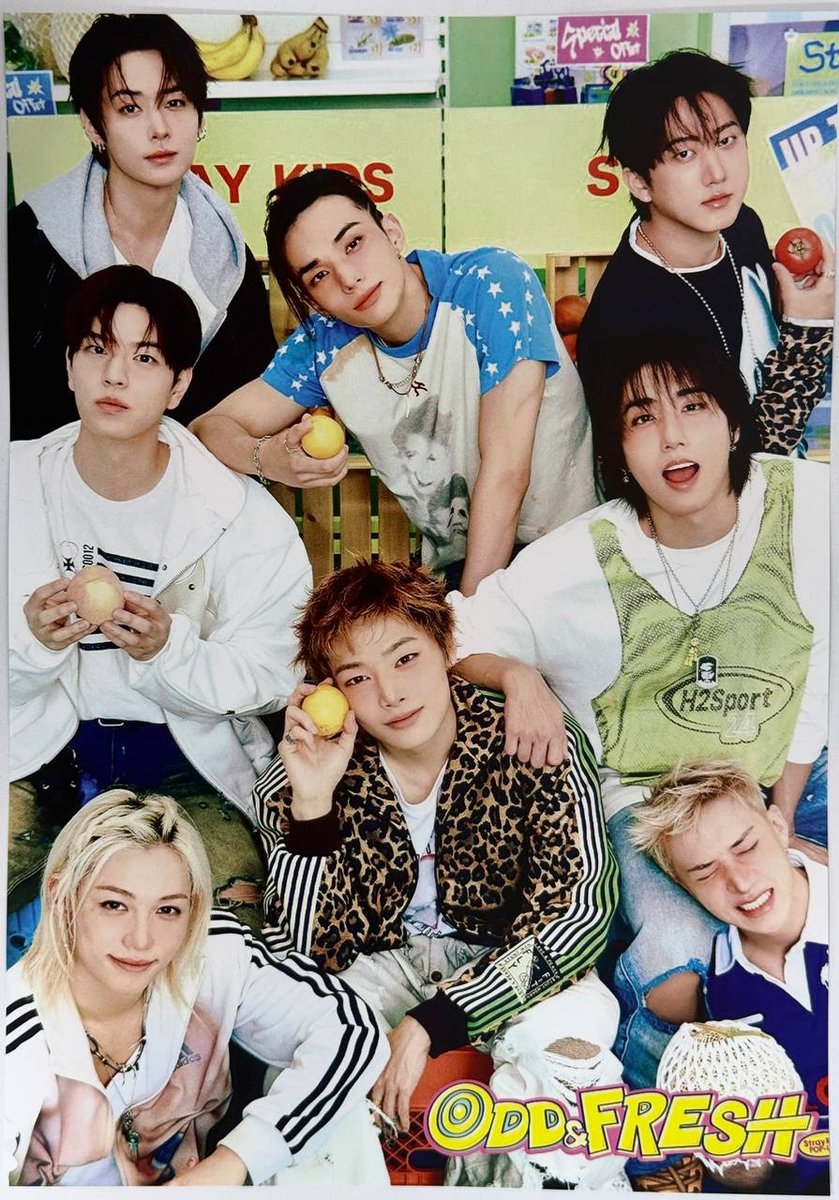 Постер Stray kids