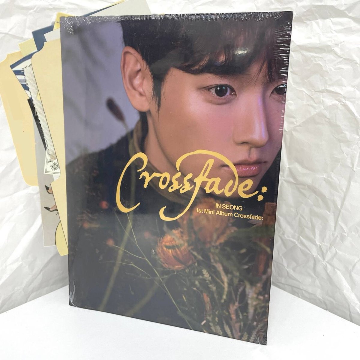 IN SEONG (SF9) - Crossfade: ( Covered me ver.)