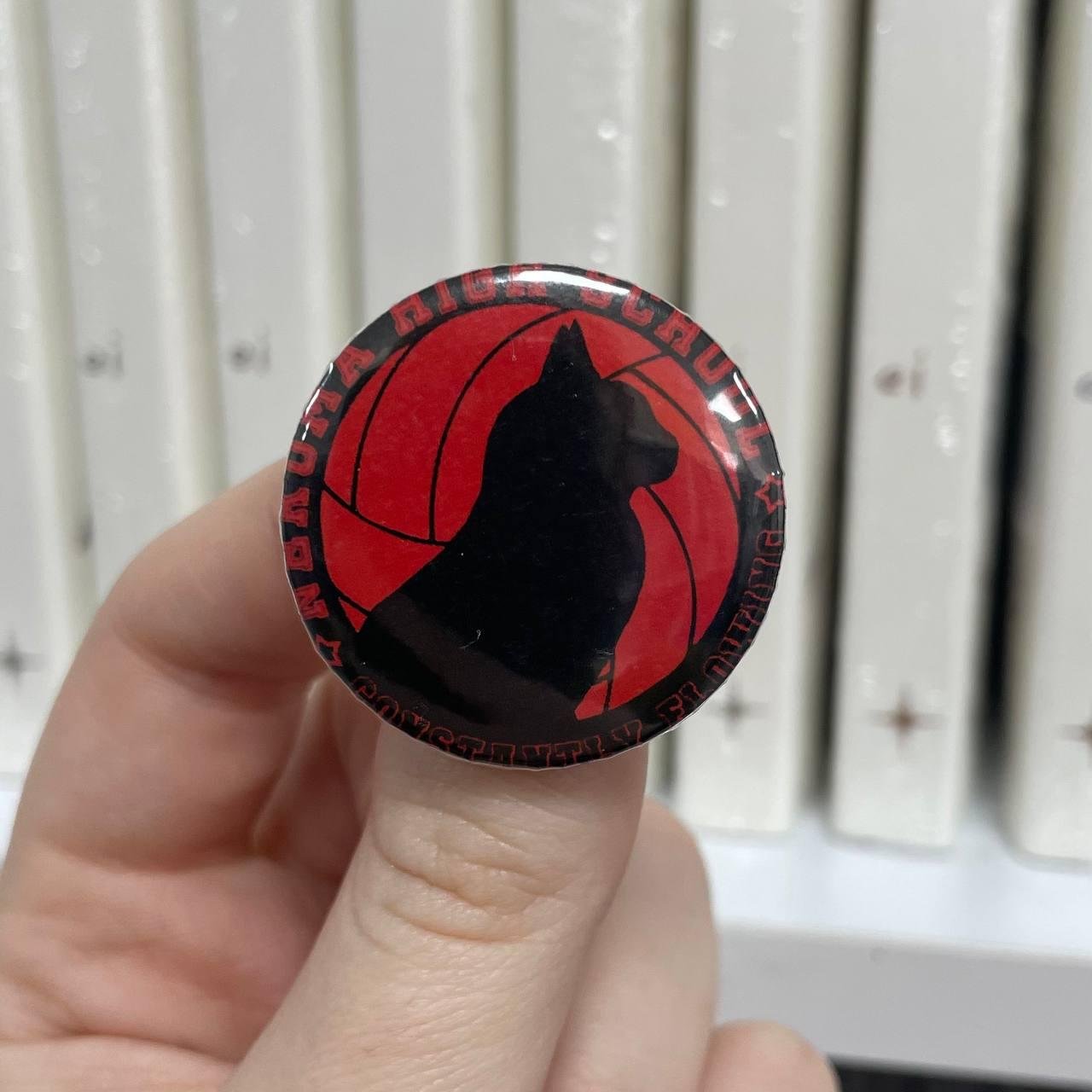 Міні значок Haikyuu!!