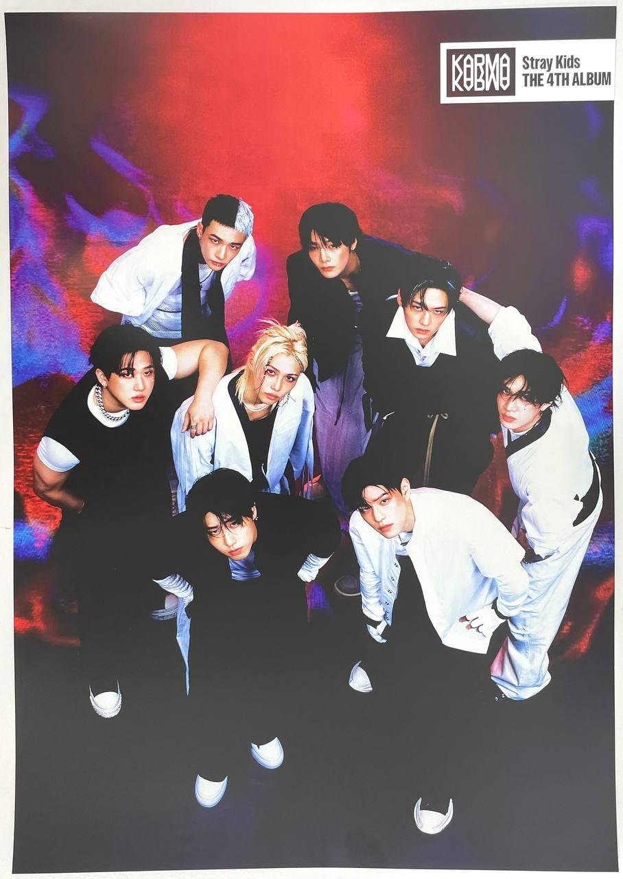 Постер Stray kids