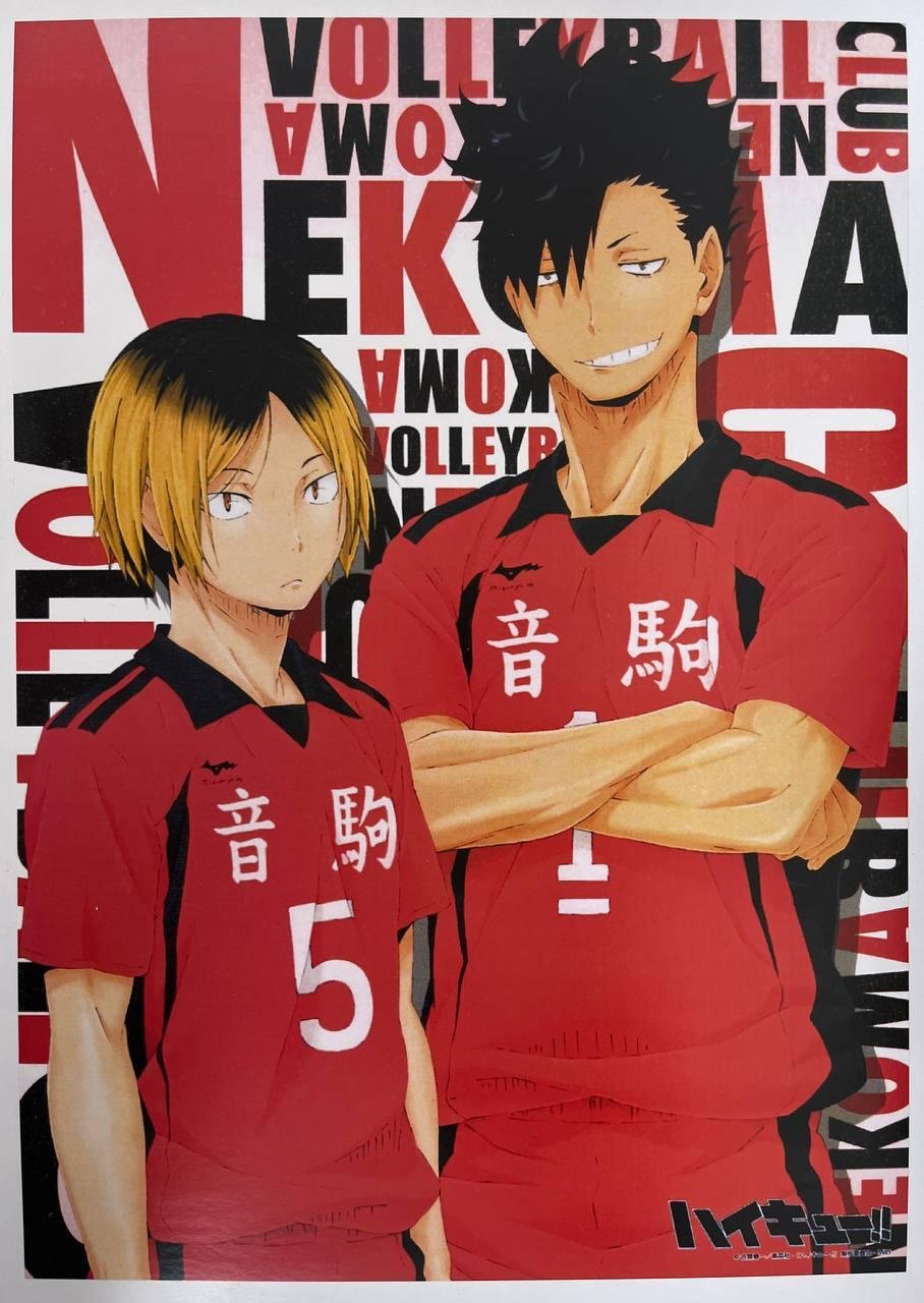 Постер А3 Волейбол / Haikyuu