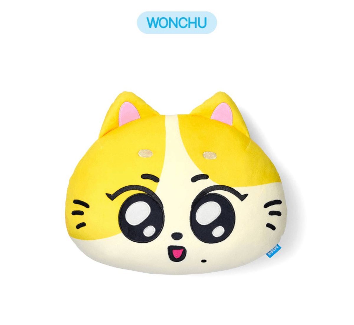 Enhypen Enchin Face Cushion