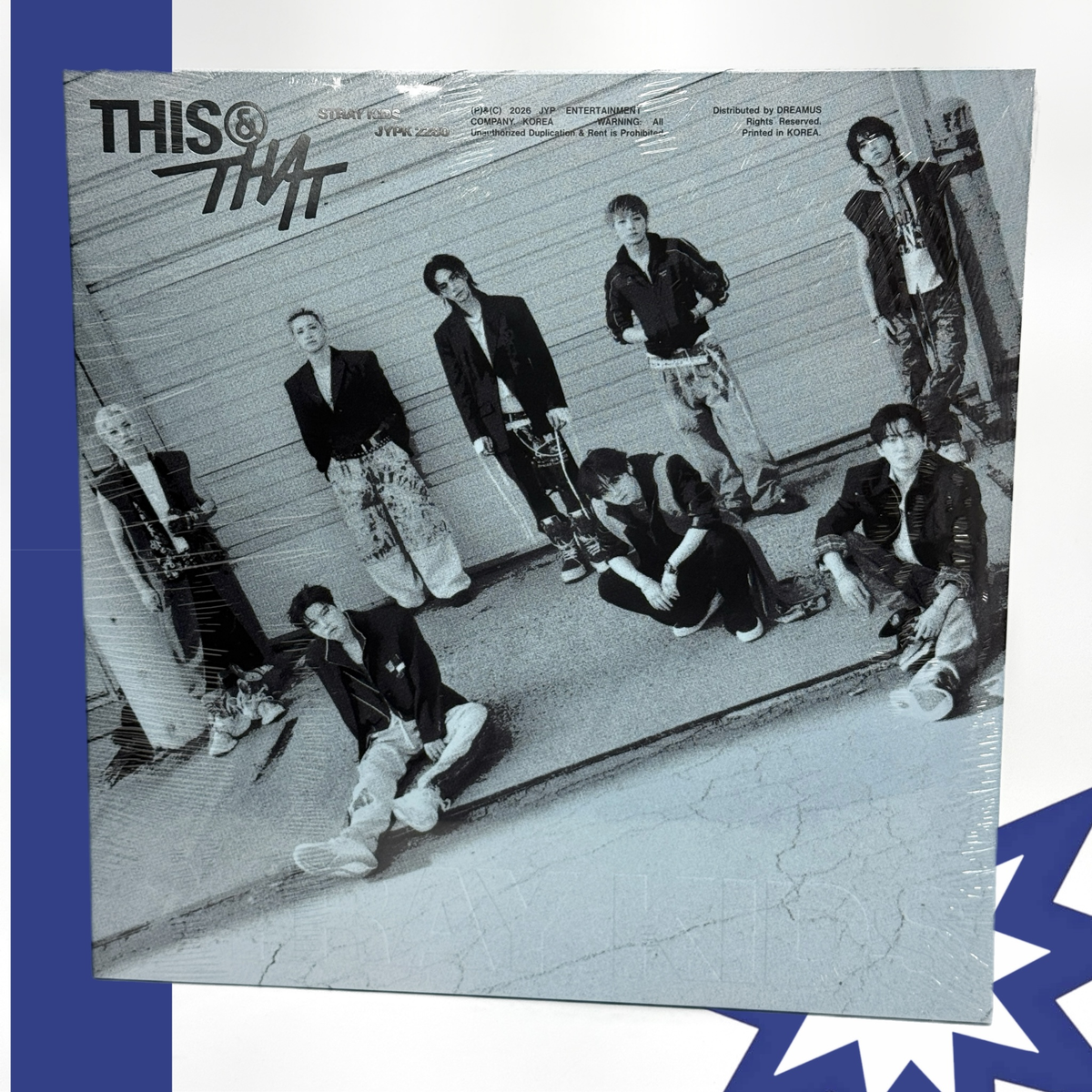 Stray Kids - THIS & THAT LP ver.