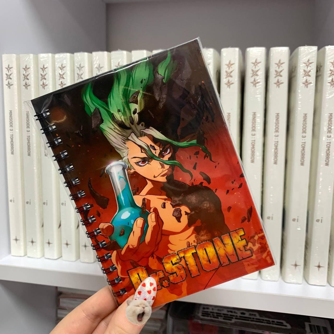 Блокнот Доктор стоун / Dr. Stone