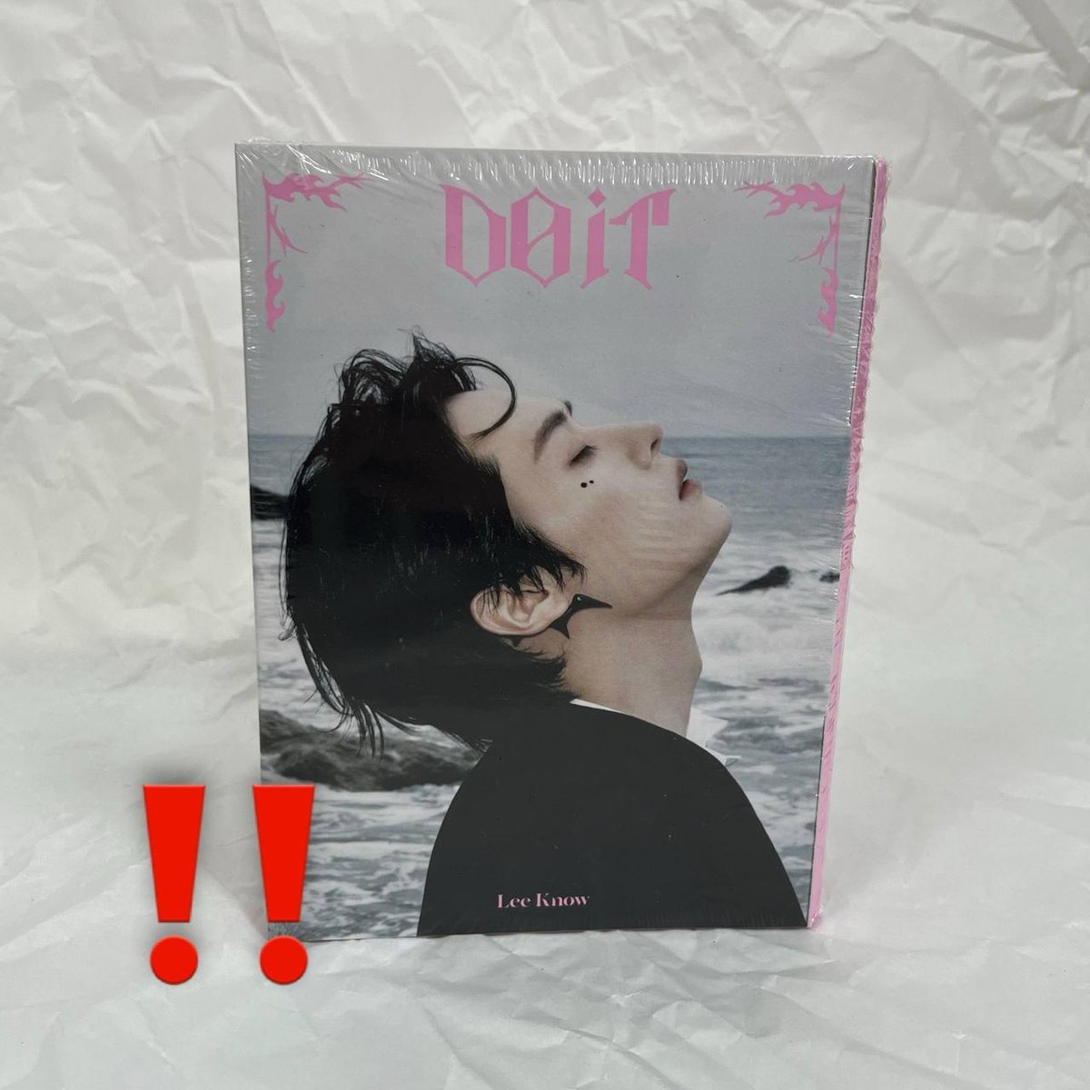 Stray Kids - DO IT ( Accordion ver.)  !ПОШКОДЖЕННЯ НА ФОТО!