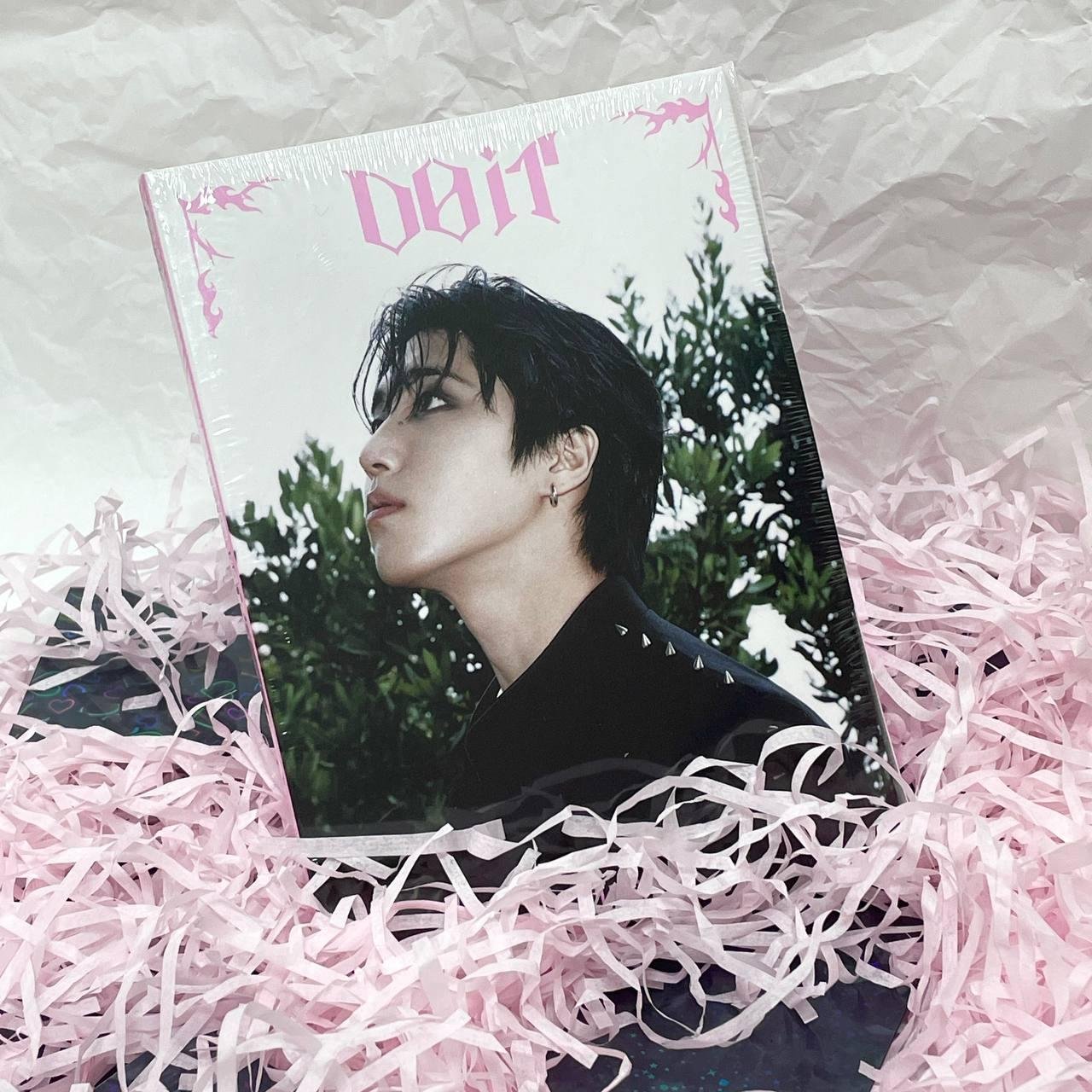 Stray Kids - DO IT ( Accordion ver.)