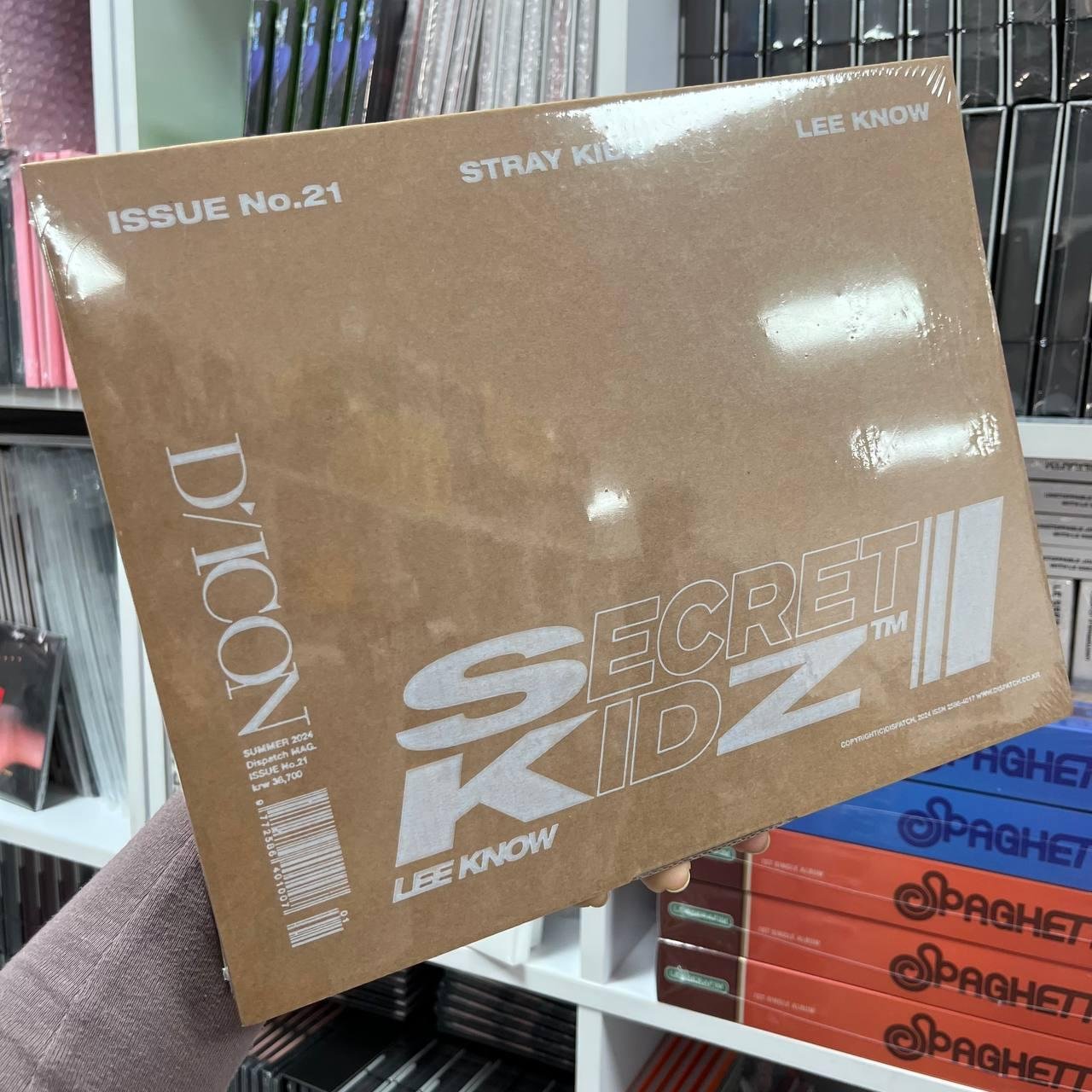 DICON VOLUME N°21 STRAY KIDS : SECRET KIDZ B Type (LEE KNOW)