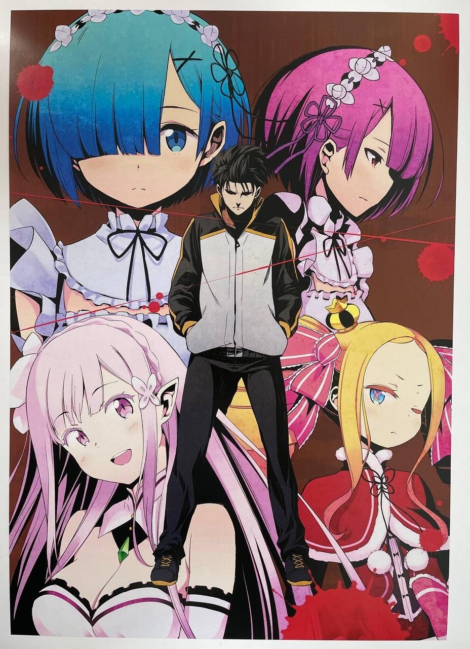 Постер А3 Re zero