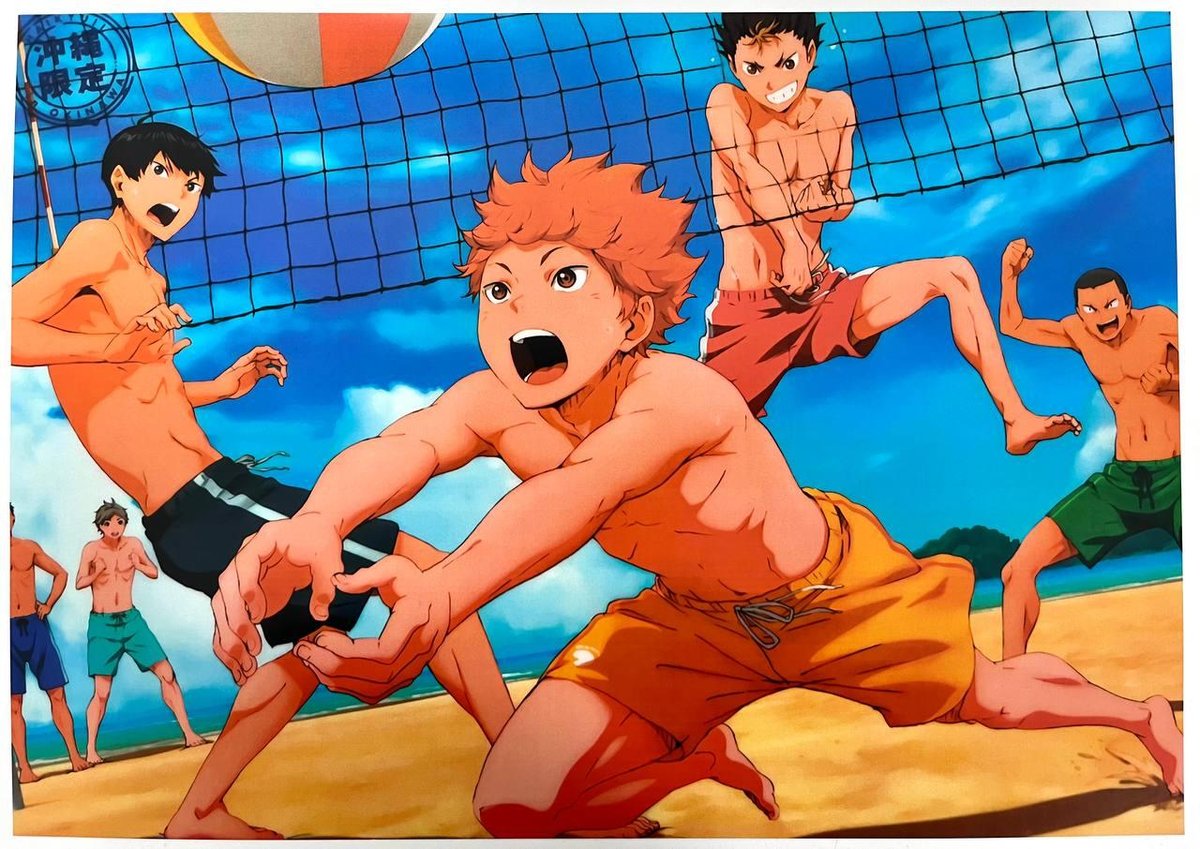 Постер А3 “Волейбол!! / Haikyu!!”