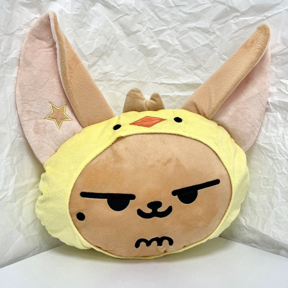 Подушка PPULBATU (TXT) HWANG CHOON
