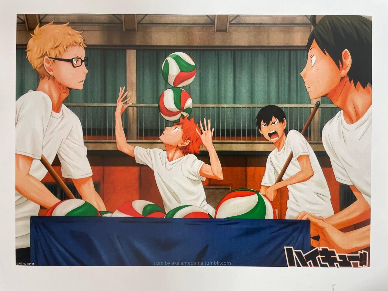 Постер А3 “Волейбол!! / Haikyu!!”