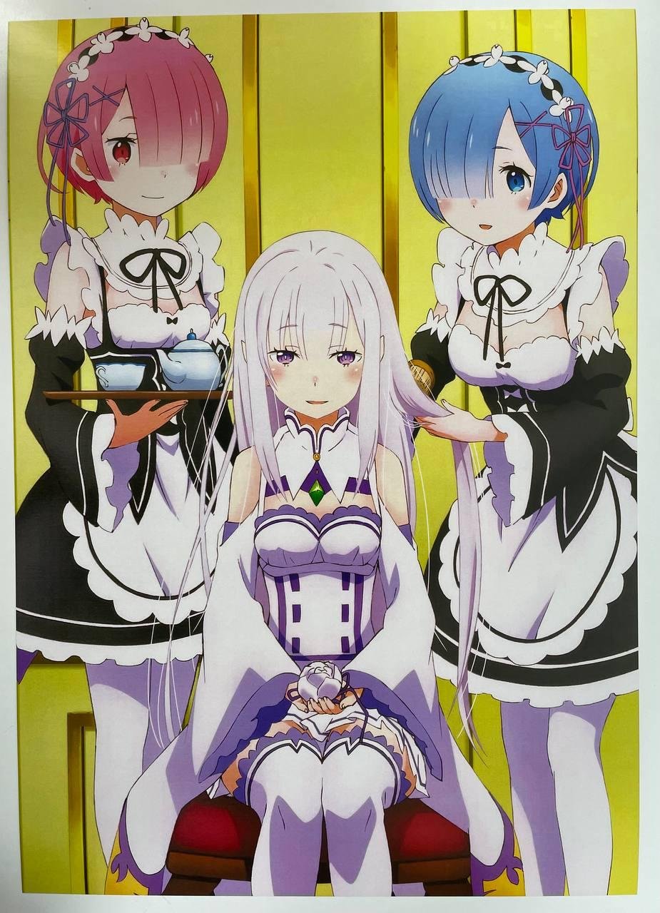 Постер А3 Re zero