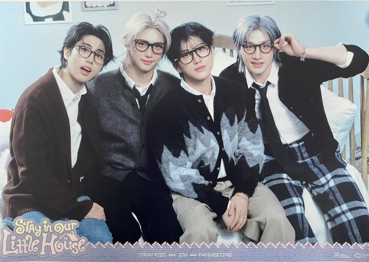 Постер Stray kids