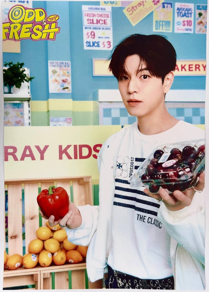 Постер Stray kids