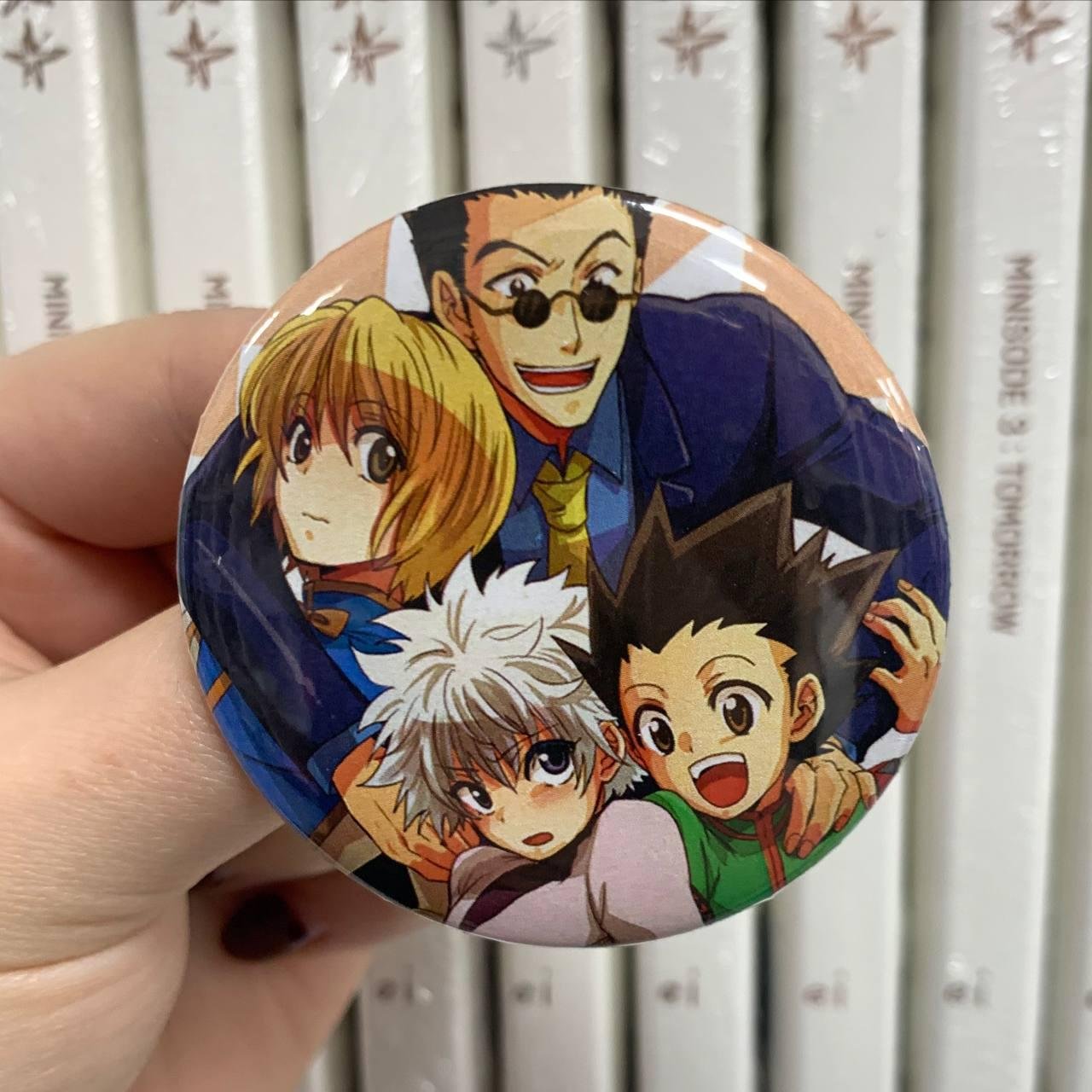 Значок Hunter x Hunter