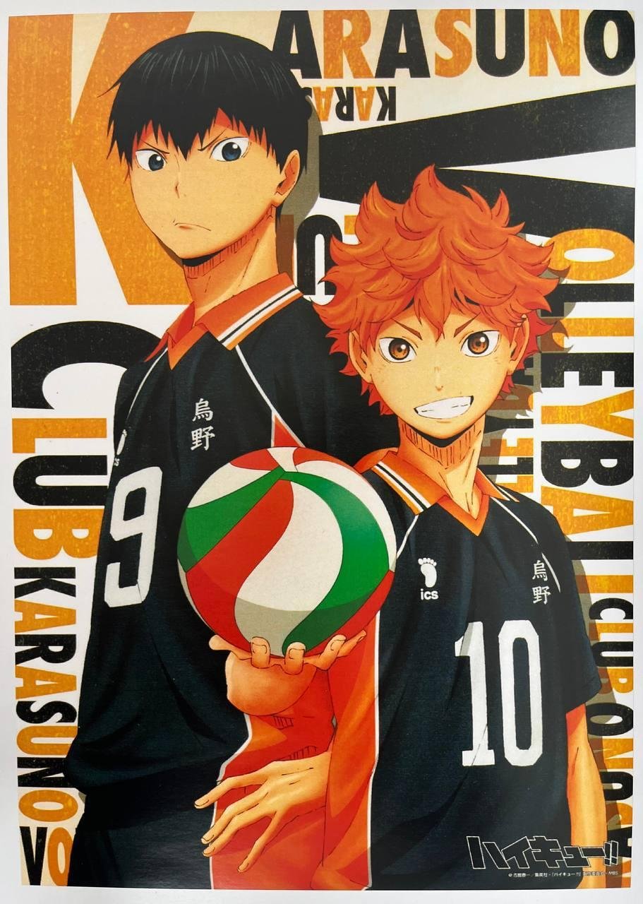 Постер А3 Волейбол / Haikyuu
